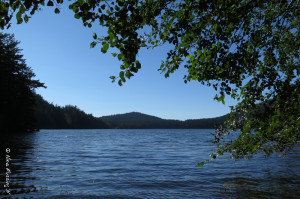 Waiting, waiting...at pretty Cascade Lake