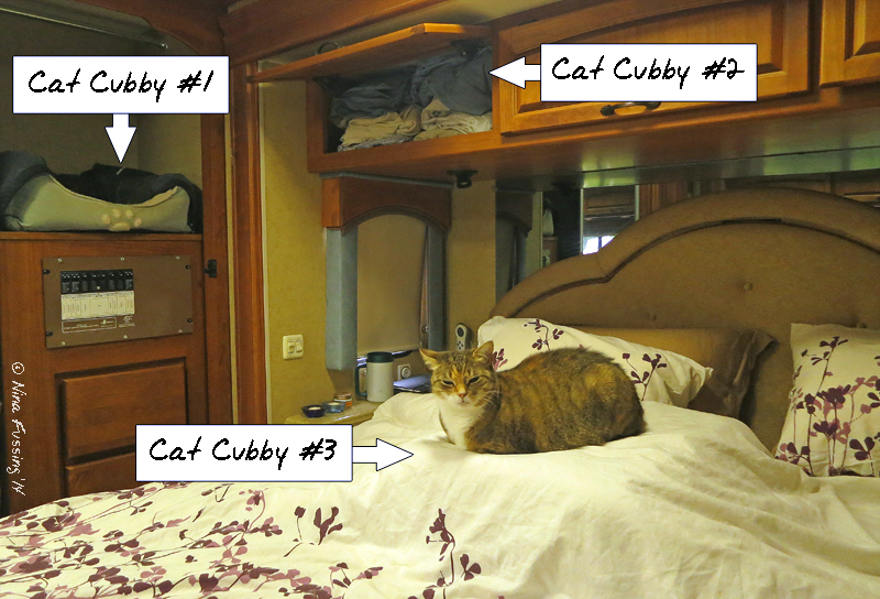 We have 3 "cat cubby" spots in the bedroom