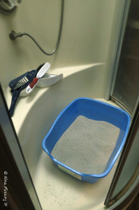 We have an extra large litter-box in the shower. The drain is covered.