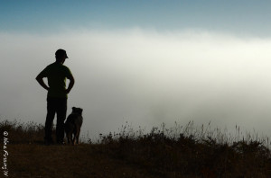 Peering over the edge of the cliff in dense fod