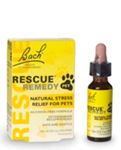 I've been using flower remedies on my cats for years