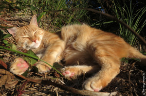 Taggart has been soaking in the tropical weather