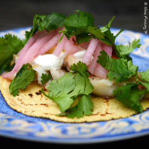 Home-made taco with freshly made tortillas, local fish, sour cream, pickled red onions and cilantro...YUM!