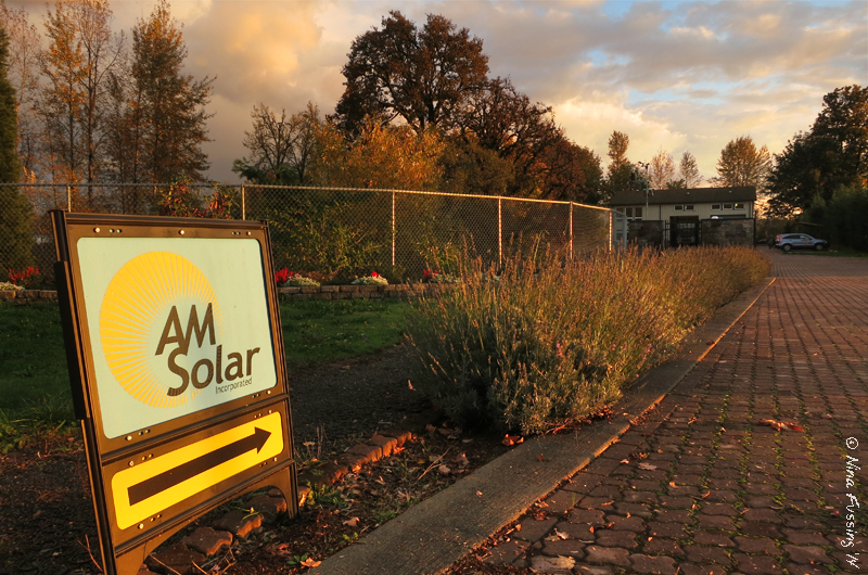 A little afternoon delight at AM Solar