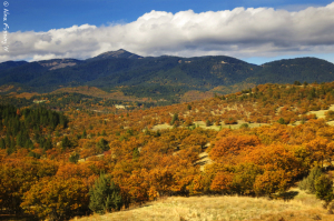 There's still quite a bit of color on Hwy 5