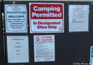 View of main sign board with camping rules. Note the Plague warning at the bottom middle.