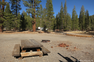 Typical site with picnic table and fire-pit