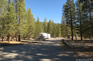 View down one of the campground roads with rig in a site on the left.