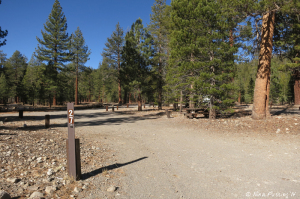 Yet another site view. This is designated site #27