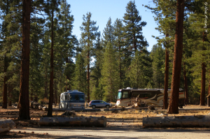 Another view of our group site.