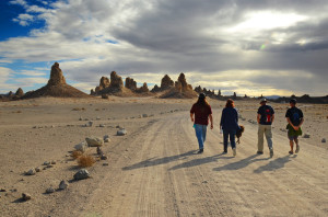 The pack goes off for a hike