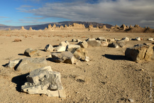 Can you say alien planet?
