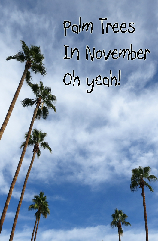 I'm thankful for palm trees :)