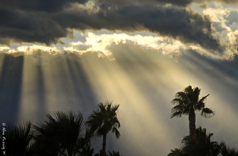 A little afternoon desert magic