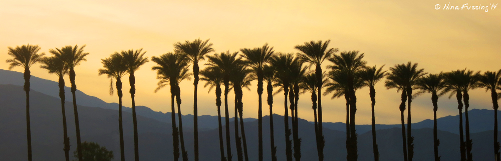 Downtown La Quinta sunset