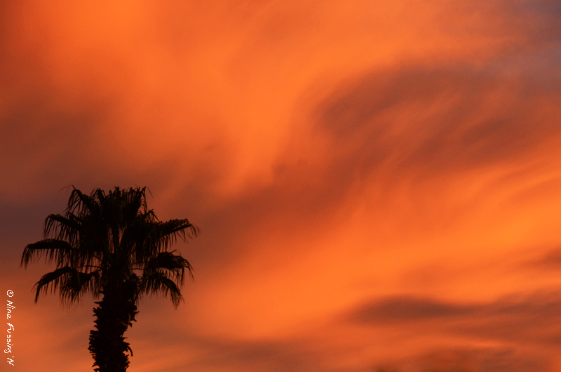 A sunset of swirling lava