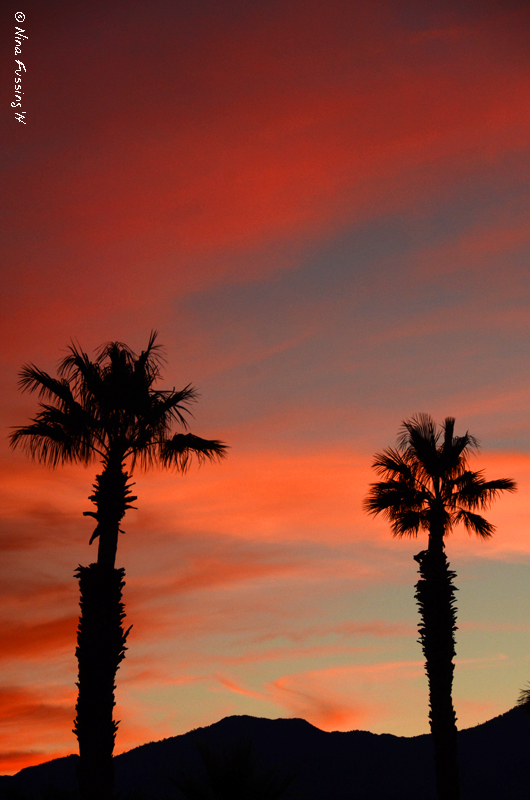 We're definitely partial to winters in the SW desert