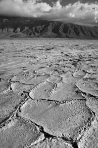 The cracked and parched earth of the dry lake bed