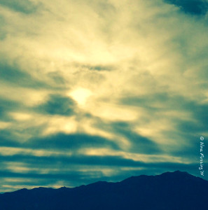 A bit of late afternoon craziness before a rain storm