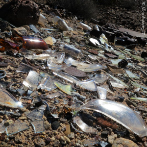 Lots of trash is never a good sign