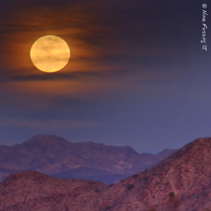 And a sweet, new moonrise