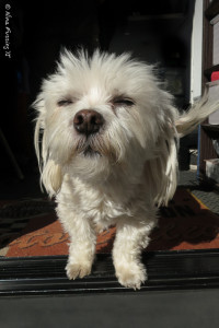 Isn't Benny just the cutest??