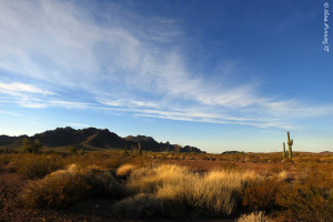 Early morning light by our site