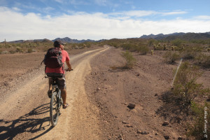 One of the many, many small rugged dirt roads within the refuge. LOTS of isolated sites on these roads, but you need 4WD high clearance.
