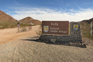 View of one of the entrances to the refuge. This marks the boundary.