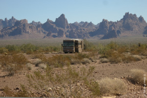 Another spacious and scenic site for this guy