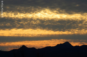 I'm going to miss that desert gold...