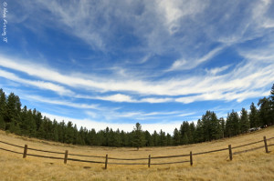 A little fisheye view