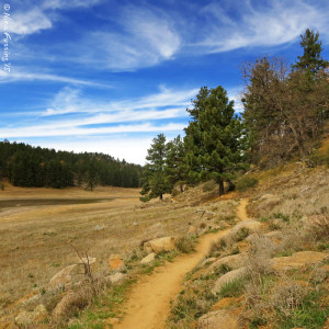 Gorgeous, winding mountain trails