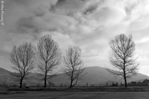 Morning clouds at our Casino site