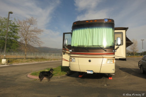 Front view of our parking spot. Notice the Lynx leveling blocks under the front wheels.