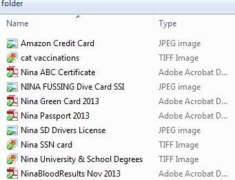 We keep a copy of all important cards, documents, medical & pet info online in our Dropbox account