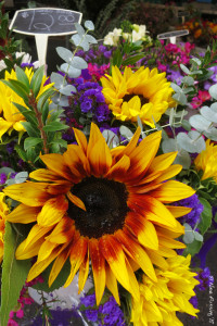 Flowers to brighten your day