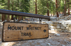 Start of the trail