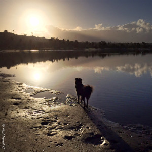 Paul took this fabulous AM shot