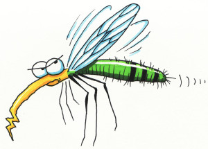 Mosquitoes are evil...