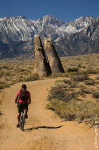 Lots of biking roads out here