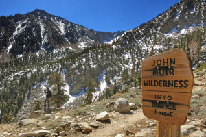 Back in the wilderness, where we belong