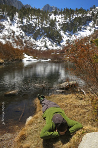 Yup, this is the spot