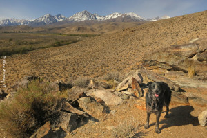 Hiking with Polly in the area behind the campground. Lots of space to hike here.