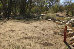 A rather overgrown site, too small for us #20