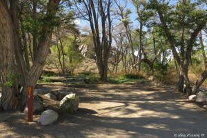A heavily tree'd site, also too tight for us #31