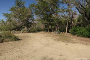 Two site next to each other neither of which could fit us. #37 on left #38 on right.