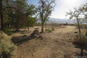 View near beginning of campground. This "loop" has ~12 sites in it. Site on left is #12