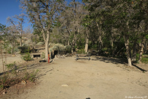 Front view of Site #12. This would be too short for us