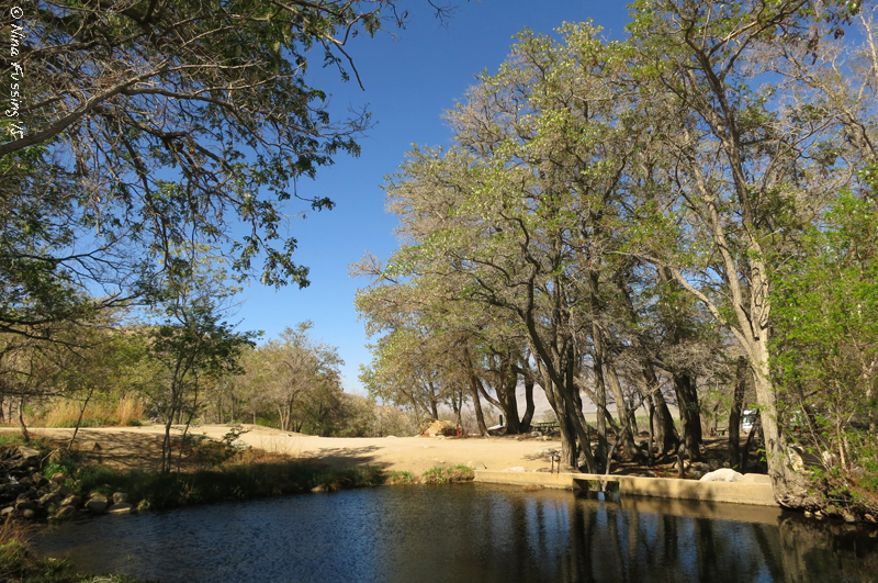 CP Campground Review Baker Creek, Big Pine, CA Wheeling It